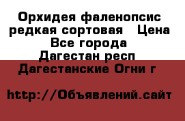 Орхидея фаленопсис редкая сортовая › Цена ­ 800 - Все города  »    . Дагестан респ.,Дагестанские Огни г.